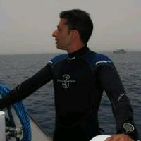 MNabil avatar