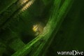 Tauchfoto