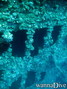 Tauchfoto