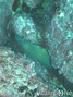 Tauchfoto