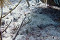 Tauchfoto