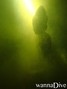 Tauchfoto