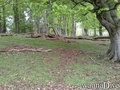 Tauchfoto