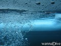 Tauchfoto