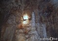 Tauchfoto