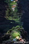Tauchfoto