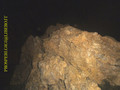 Tauchfoto