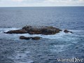 Tauchfoto
